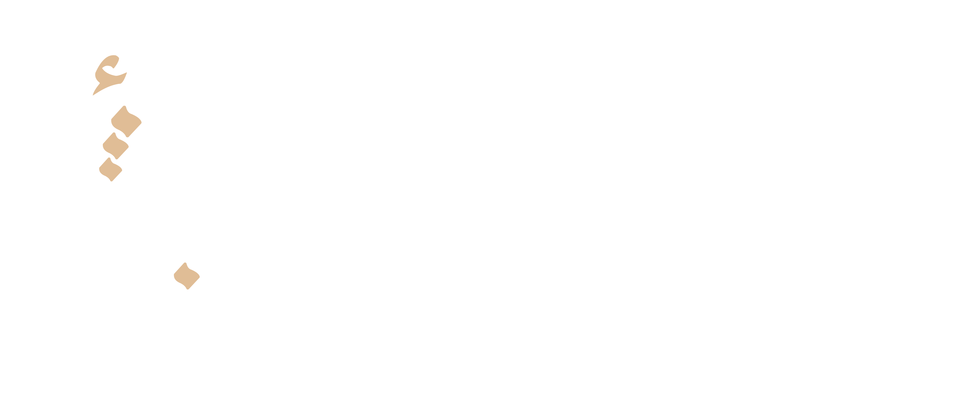 Abshe media
